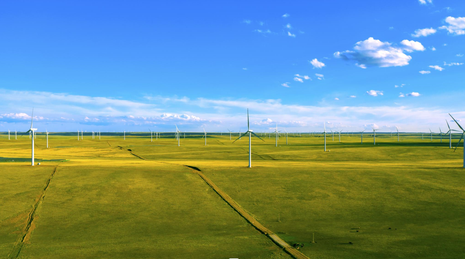 【CWP看点速“达”】新生长、新场景、新模式、新继承，，，看新宝GG如作甚零碳未来提质加速