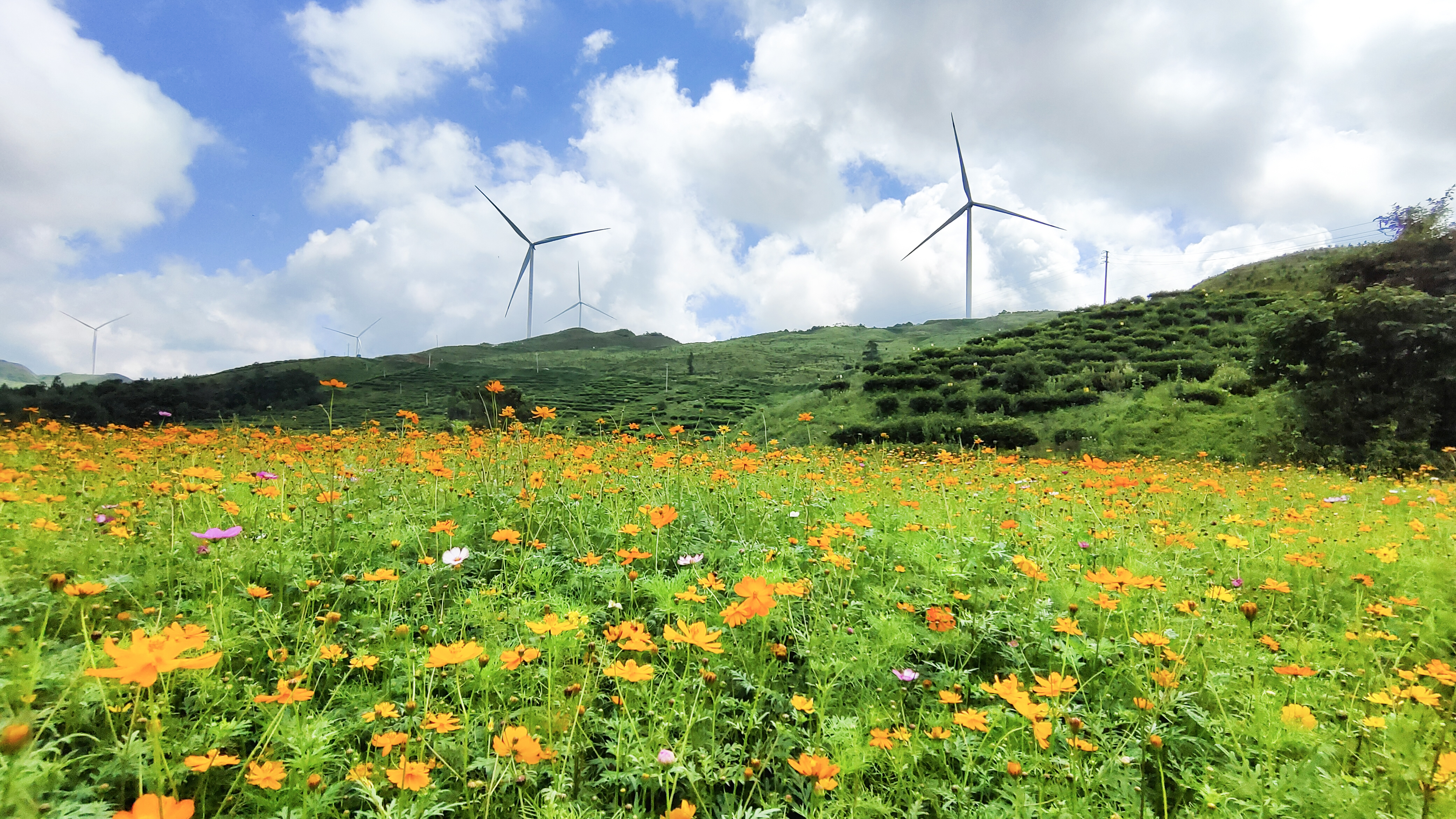 新宝GG—创立事业平台