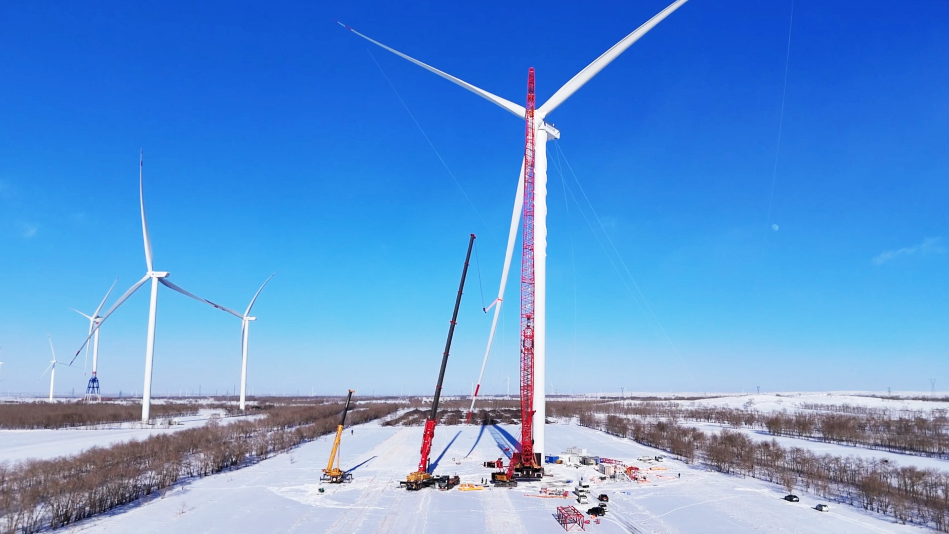 新宝GG—创立事业平台