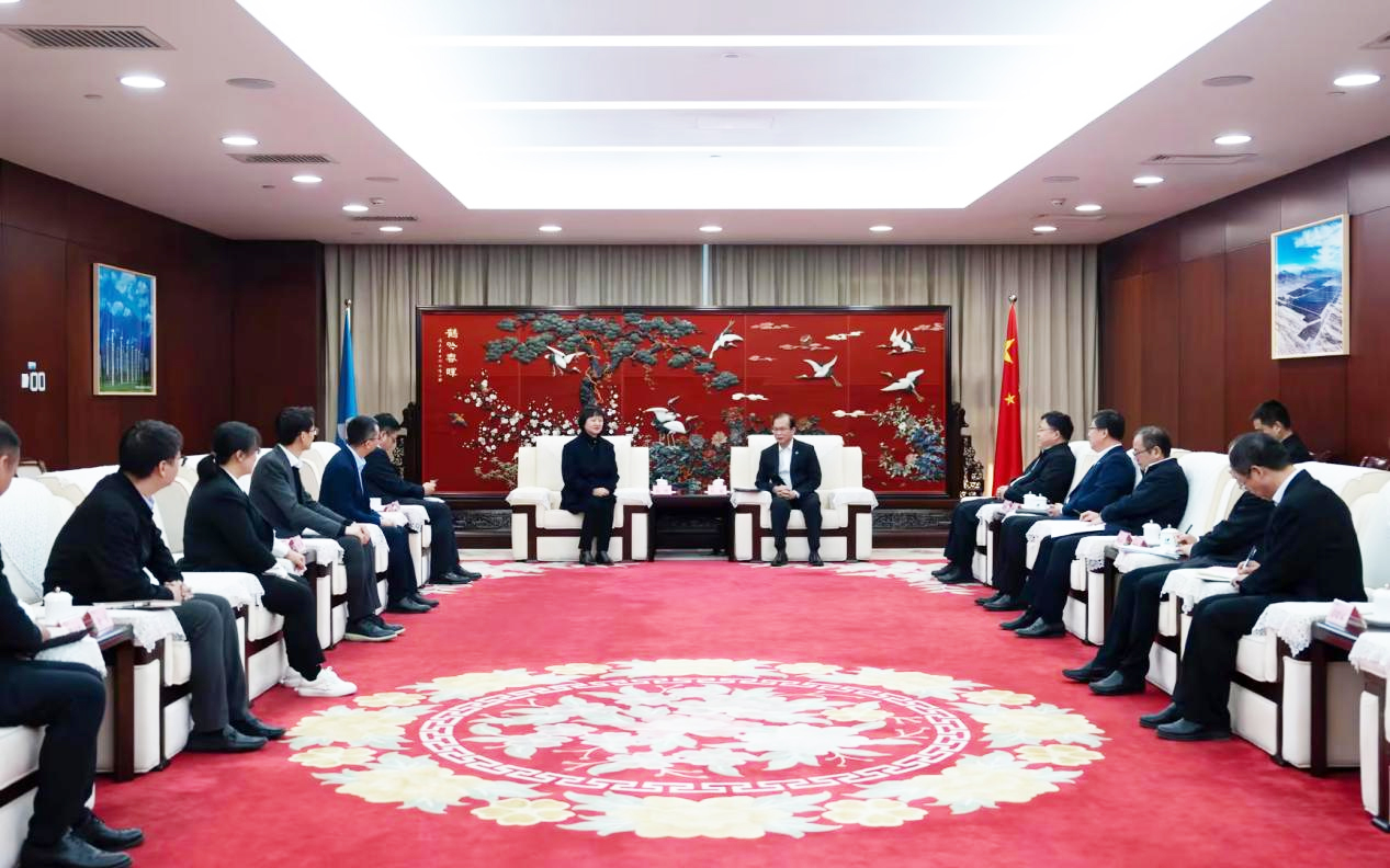 新宝GG股份董事长高玲造访中国华电董事长江毅